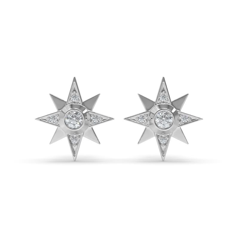 THE NORTH STAR STUDS